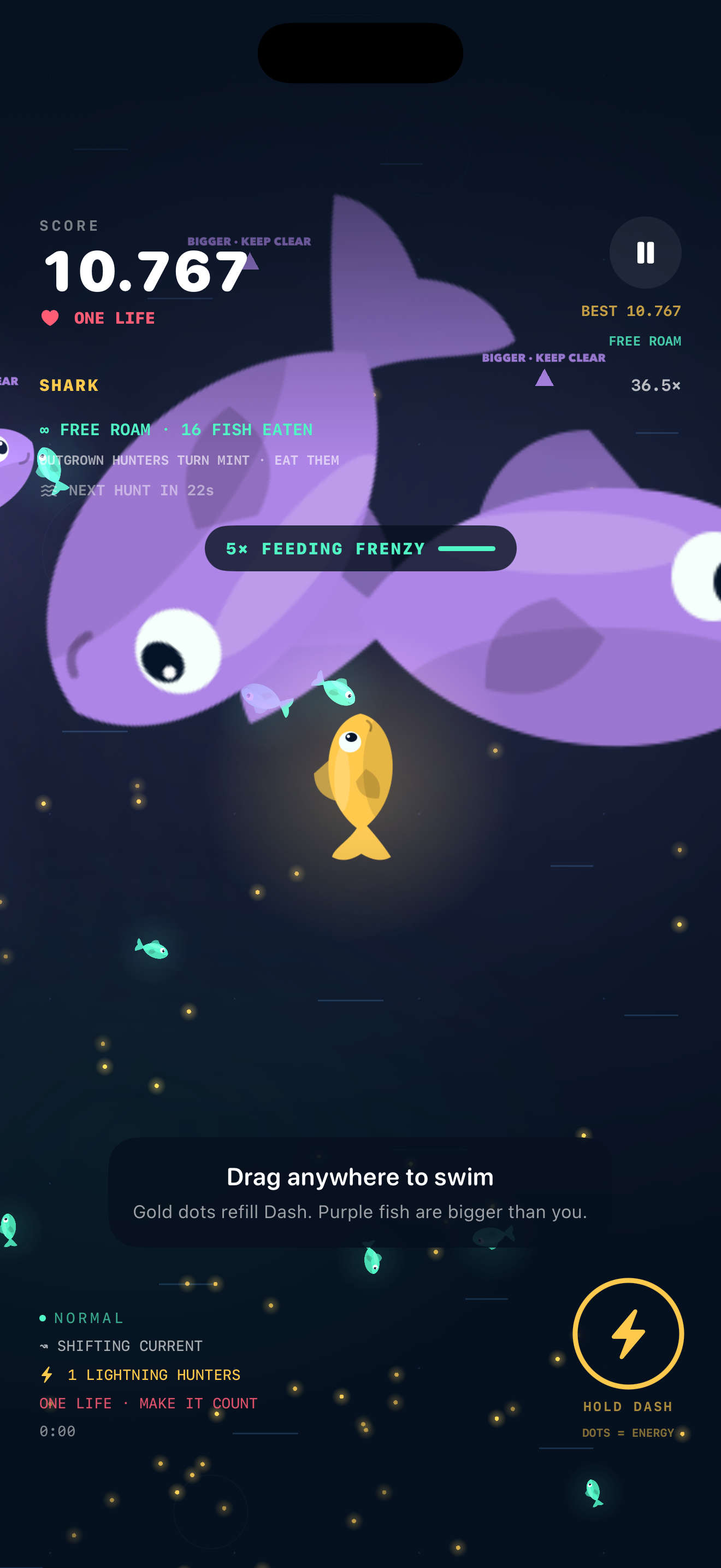 Free Roam gameplay in Gulp with differently sized fish and the score display